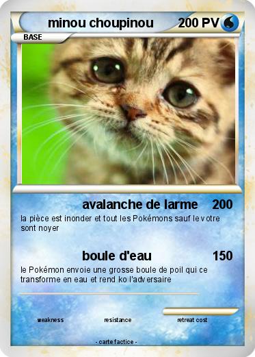 Pokemon minou choupinou