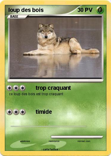 Pokemon loup des bois