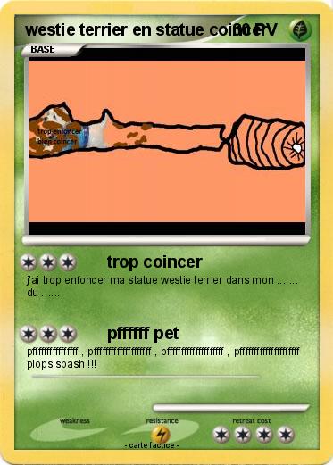 Pokemon westie terrier en statue coincer