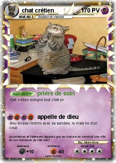 Pokemon chat crétien