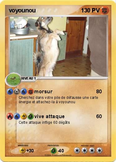 Pokemon voyounou