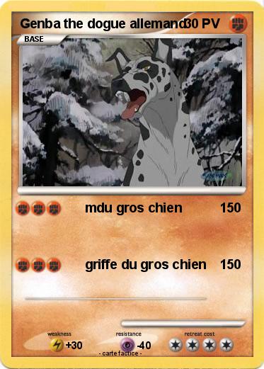 Pokemon Genba the dogue allemand