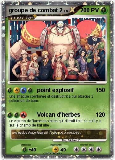 Pokemon groupe de combat 2