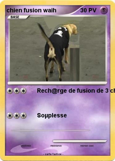 Pokemon chien fusion waih
