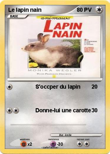 Pokemon Le lapin nain