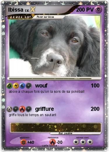 Pokemon Ibissa