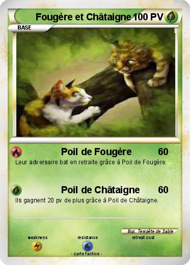 Pokemon Fougère et Châtaigne