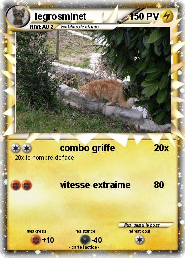 Pokemon legrosminet