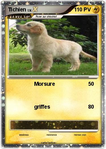 Pokemon Tichien