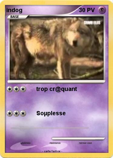 Pokemon indog
