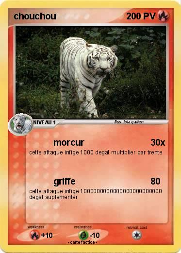 Pokemon chouchou