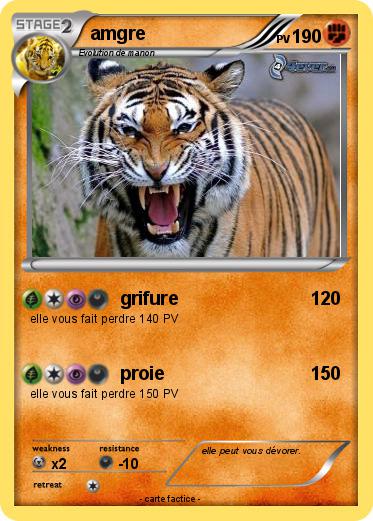 Pokemon amgre