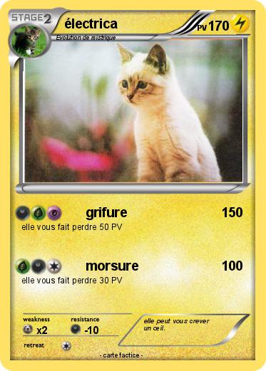 Pokemon électrica