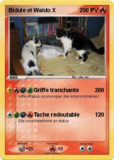 Pokemon Bidule et Waldo X