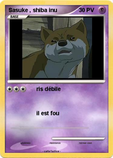 Pokemon Sasuke , shiba inu