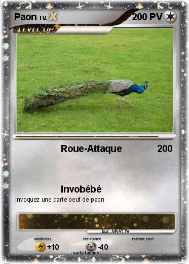 Pokemon Paon