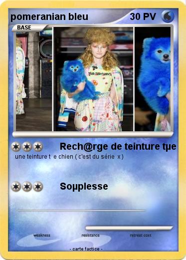 Pokemon pomeranian bleu