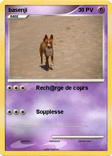 Pokemon basenji