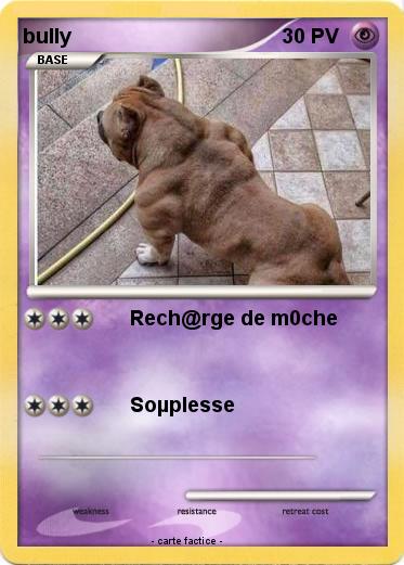 Pokemon bully