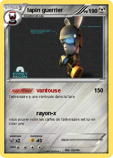 Pokemon lapin guerrier