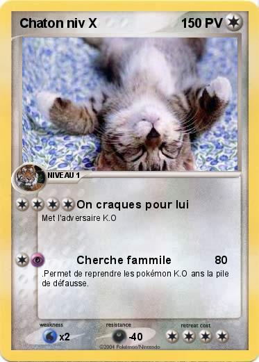 Pokemon Chaton niv X