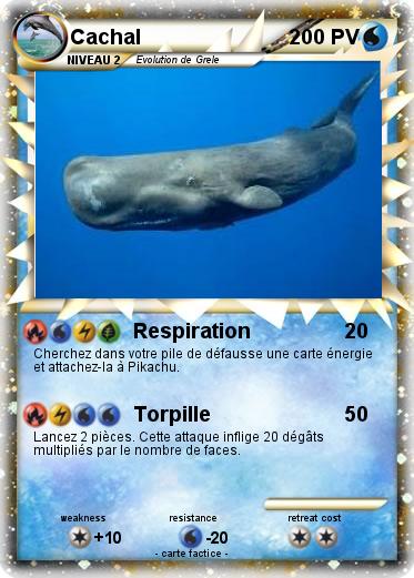 Pokemon Cachal