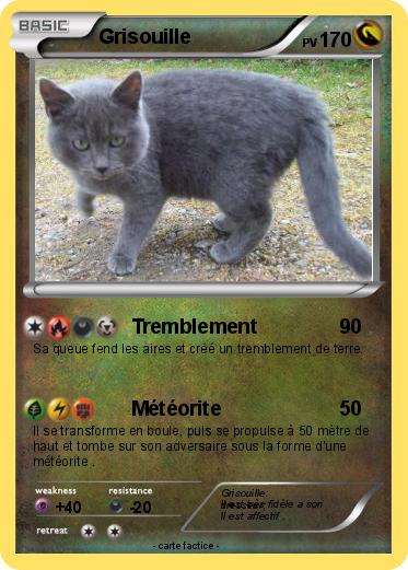 Pokemon Grisouille