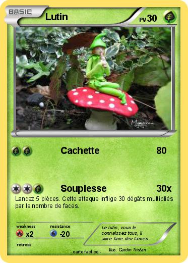 Pokemon Lutin