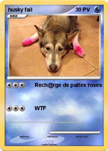 Pokemon husky fail