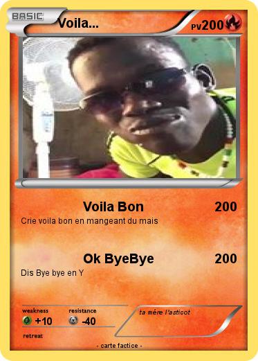 Pokemon Voila...
