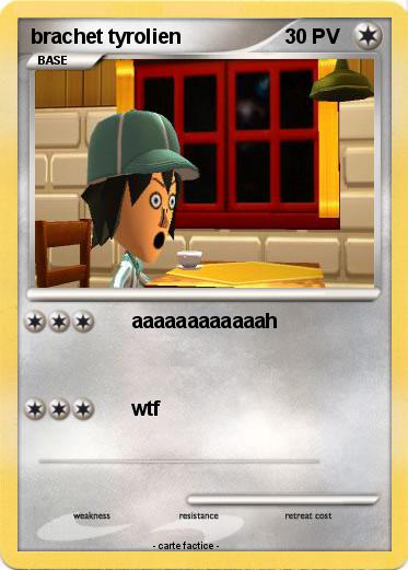 Pokemon brachet tyrolien