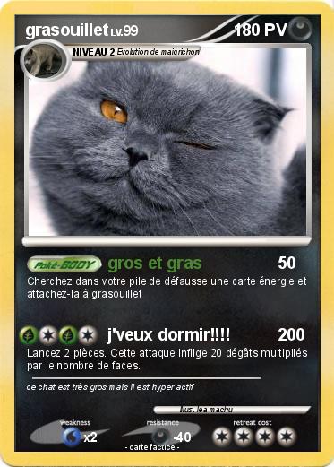 Pokemon grasouillet