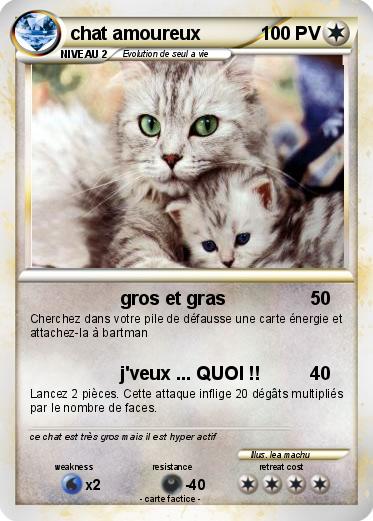 Pokemon chat amoureux