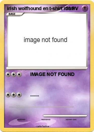 Pokemon irish wolfhound en t-shirt marin