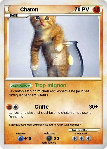 Pokemon Chaton
