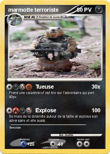Pokemon marmotte terroriste