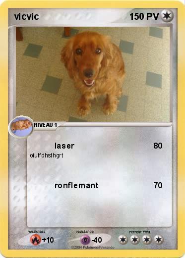 Pokemon vicvic