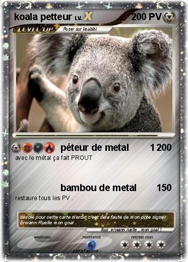Pokemon koala petteur
