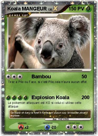 Pokemon Koala MANGEUR