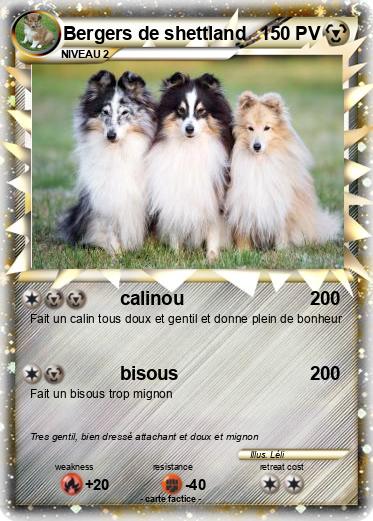 Pokemon Bergers de shettland