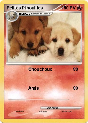 Pokemon Petites fripouilles