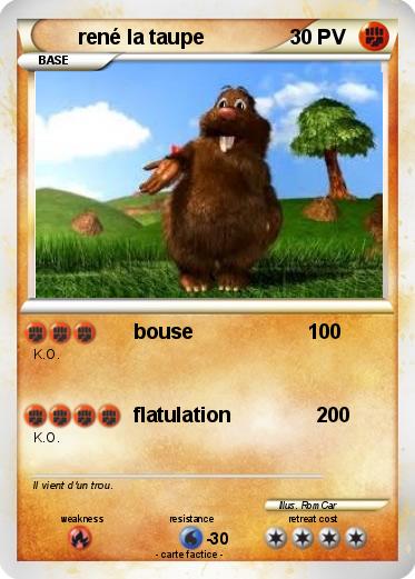 Pokemon rené la taupe