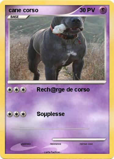 Pokemon cane corso