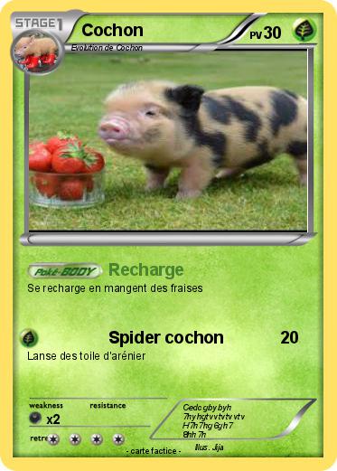 Pokemon Cochon