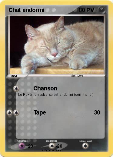 Pokemon Chat endormi