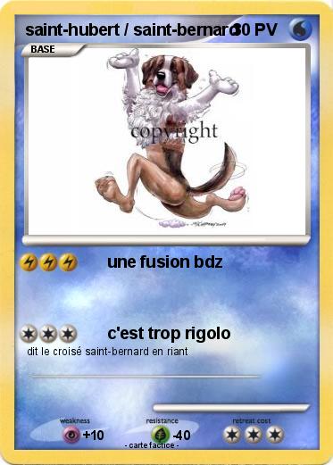 Pokemon saint-hubert / saint-bernard