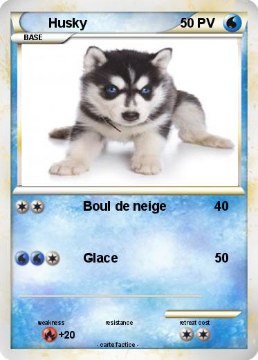 Pokemon Husky