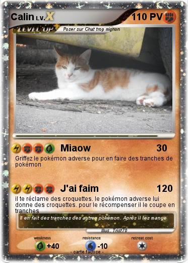 Pokemon Calin