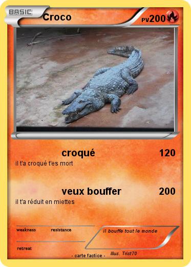 Pokemon Croco