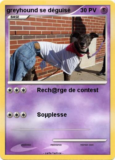 Pokemon greyhound se déguisé